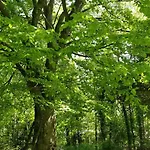 Σπίτι διακοπών Victorian Summer House On Beautiful Natural Plot