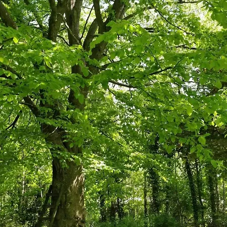 Prázdninový dům Victorian Summer House On Beautiful Natural Plot
