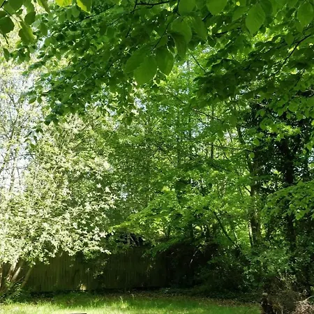 Victorian Summer House On Beautiful Natural Plot Vakantiehuis