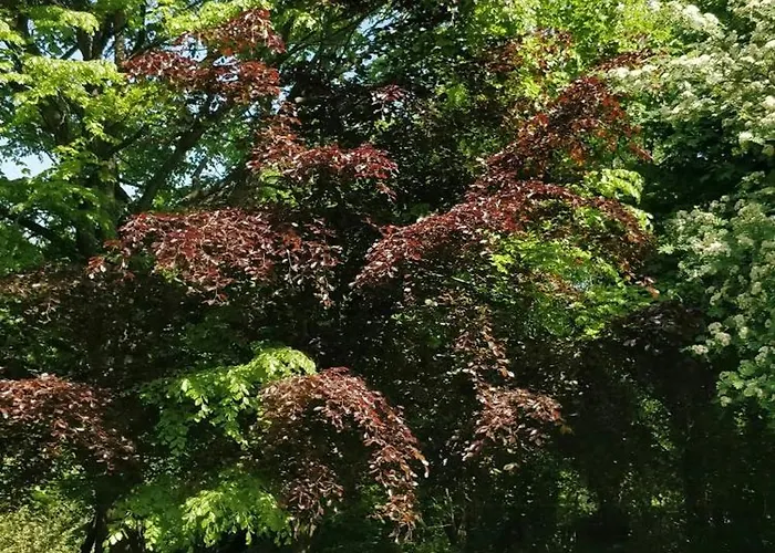 Casa de Férias Victorian Summer House On Beautiful Natural Plot Rønde